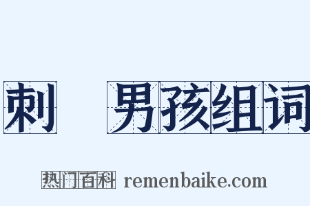 刺蝟男孩组词是什么意思的图片